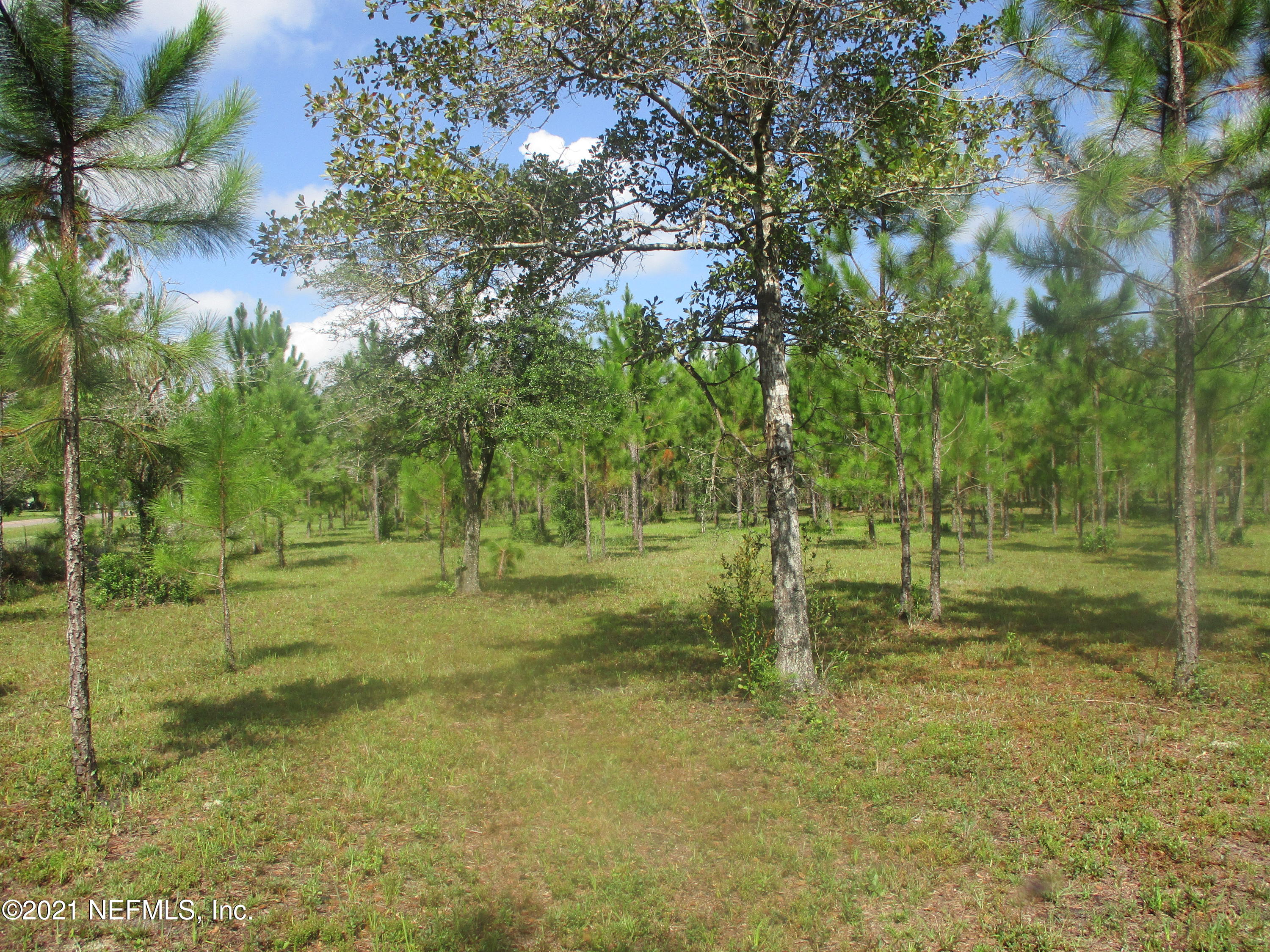 172406 Bay Road Hilliard, FL 32046 - Photo 3 of 12 IMG_0169