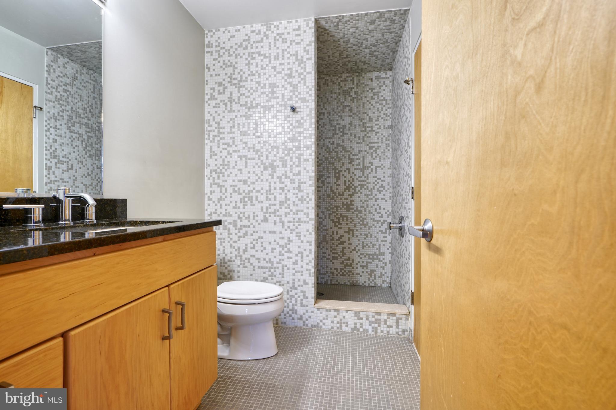 104 West Madison Street, Unit 7 Baltimore, MD 21201 - Photo 26 of 30 Stylish bathroom ...