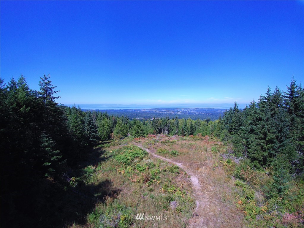413 Graywolf Ridge Road Sequim, WA 98382 - Photo 23 of 25 Gallery Image 23