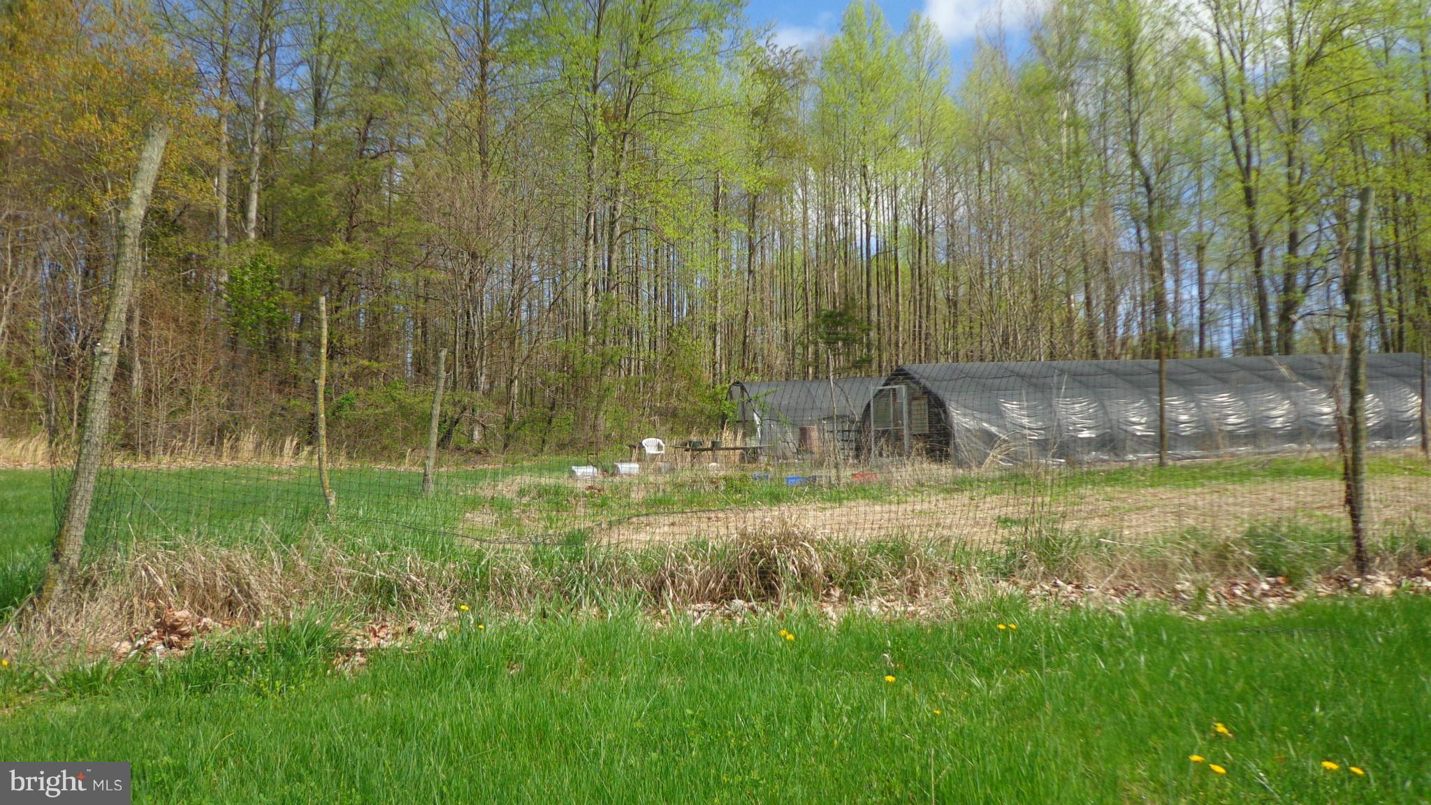 3305 Cabin Road Reva, VA 22735 - Photo 14 of 26 Exterior (General)