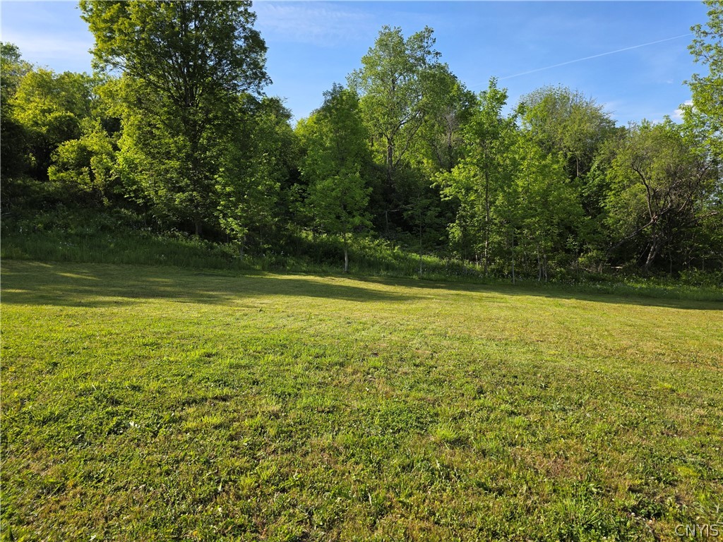 4123 State Rt 28 Herkimer, NY 13350 - Photo 31 of 31