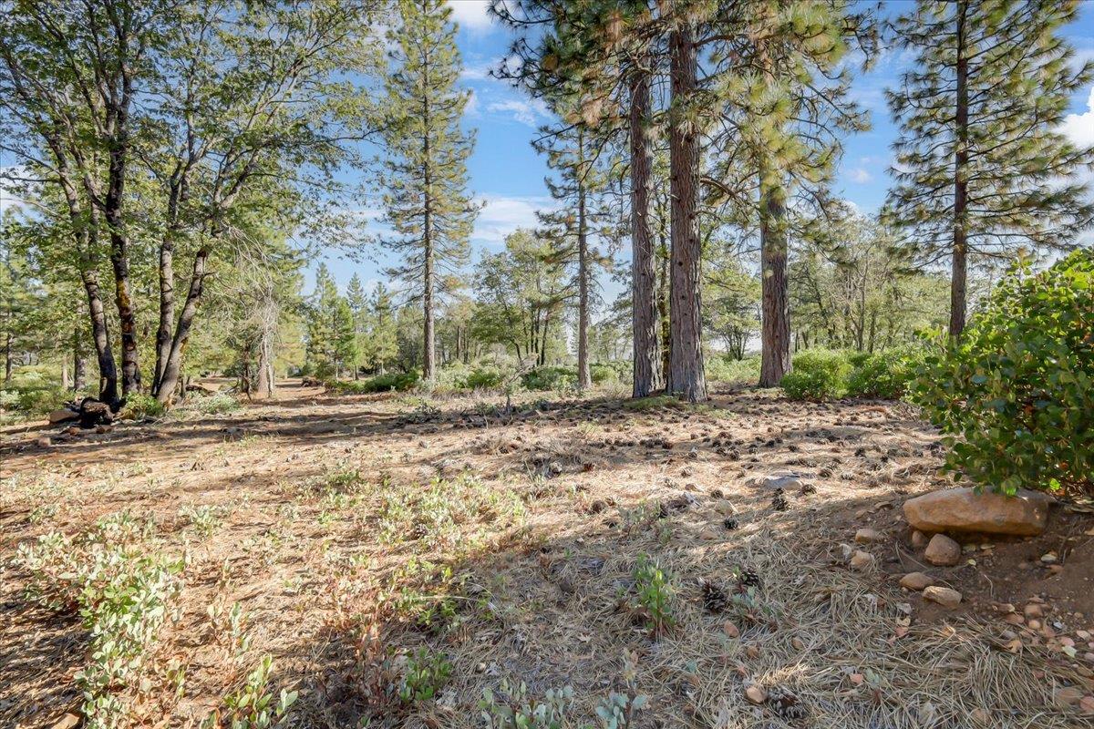 6420 Hidden Treasure Road Foresthill, CA 95631 - Photo 25 of 47 Gallery Image 25