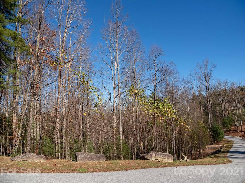 23 Monarch Road Hendersonville, NC 28739 - Photo 3 of 11 Gallery Image 3