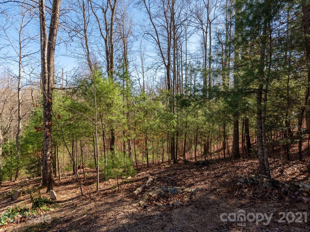 23 Monarch Road Hendersonville, NC 28739 - Photo 4 of 11 Gallery Image 4