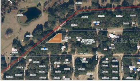 Riley Street Interlachen, FL 32148 - Photo 5 of 7