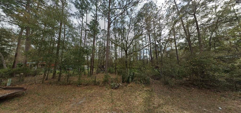 Riley Street Interlachen, FL 32148 - Photo 7 of 7