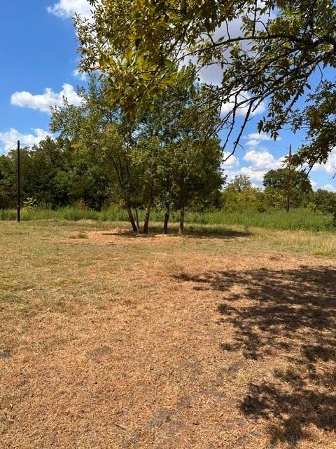 24750 Co Road Brookston, TX 75421 - Photo 2 of 4 Lot view