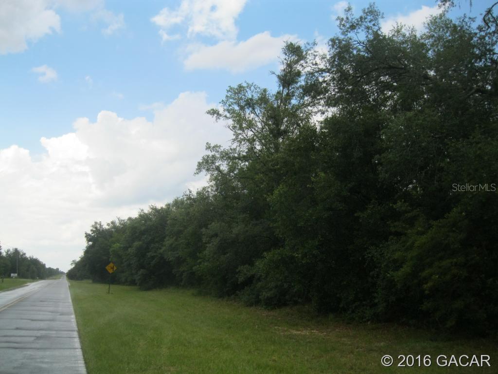 337 County Road 337 Bronson, FL 32621 - Photo 1 of 1