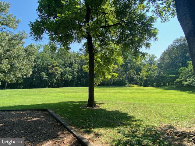 9501 Hall Road Potomac, MD 20854 - Photo 37 of 43