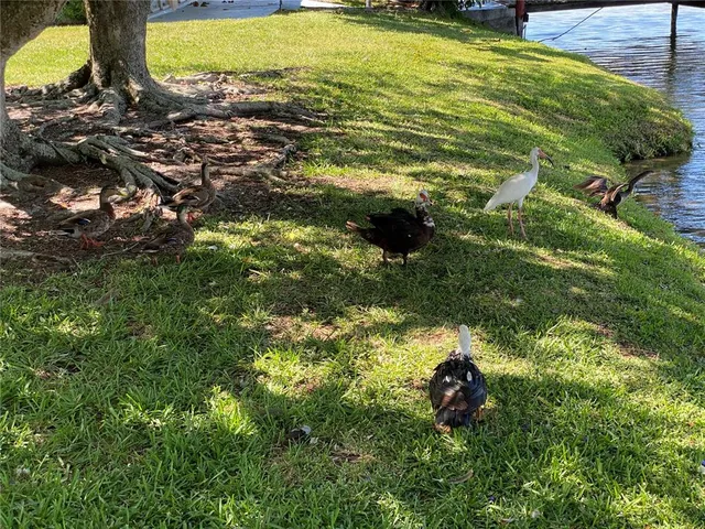 $125,000 | 3927 Lake Bayshore Drive, Unit F312, Bradenton, FL 34205