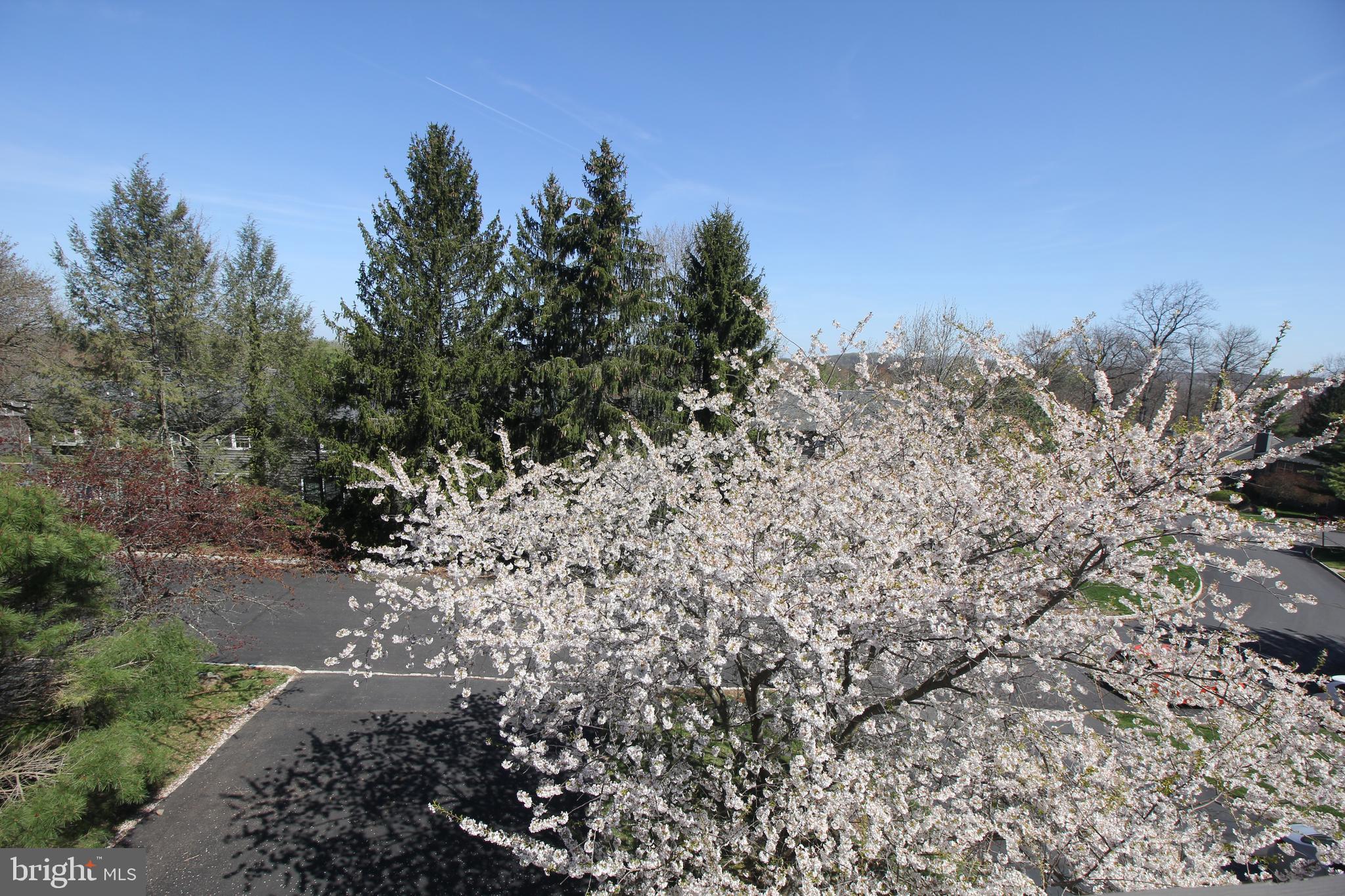 37 F Melrose Road Princeton, NJ 08540 - Photo 25 of 37 View from bedroom 2 Balcony