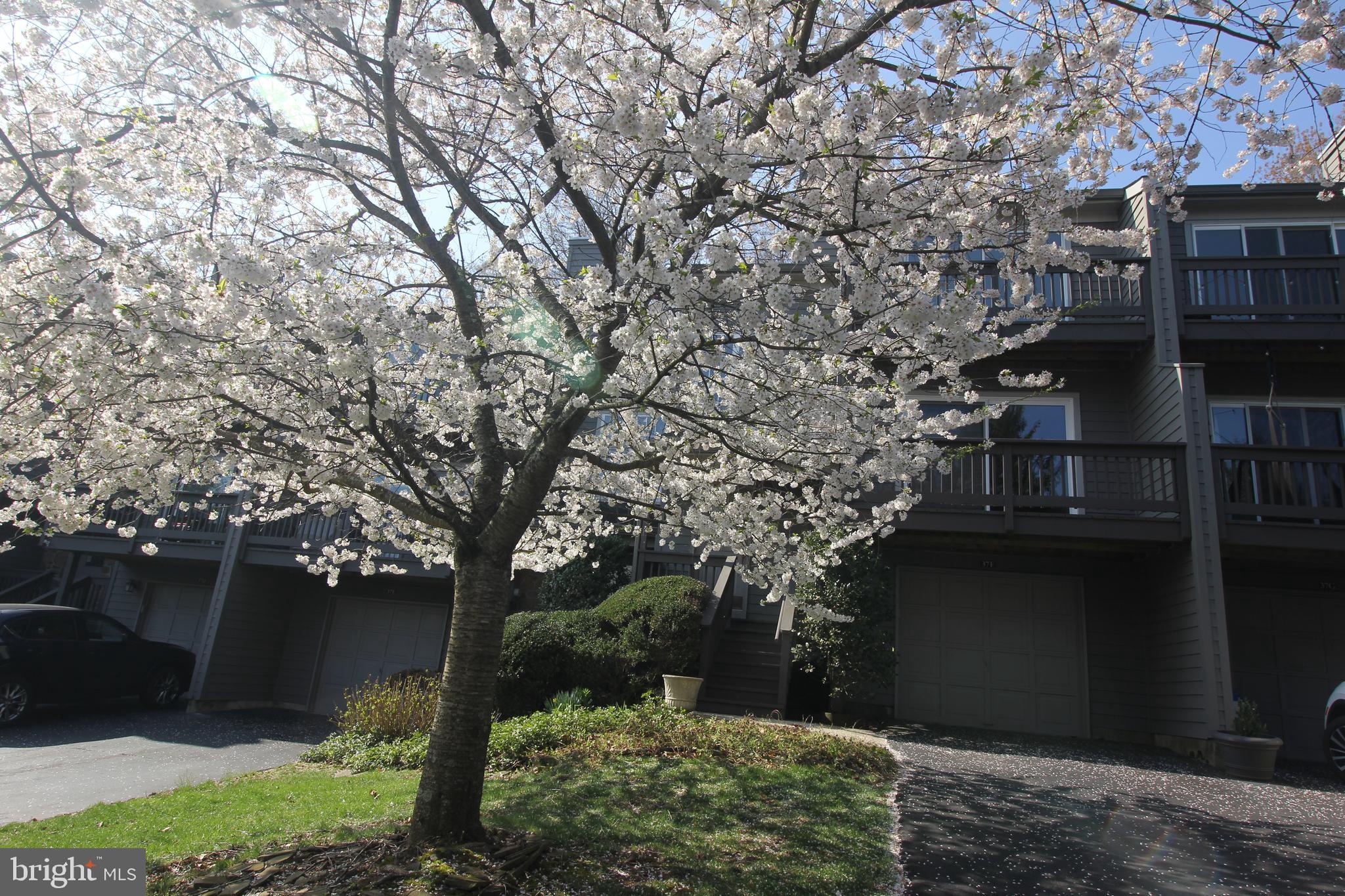 37 F Melrose Road Princeton, NJ 08540 - Photo 3 of 37 Exterior Front