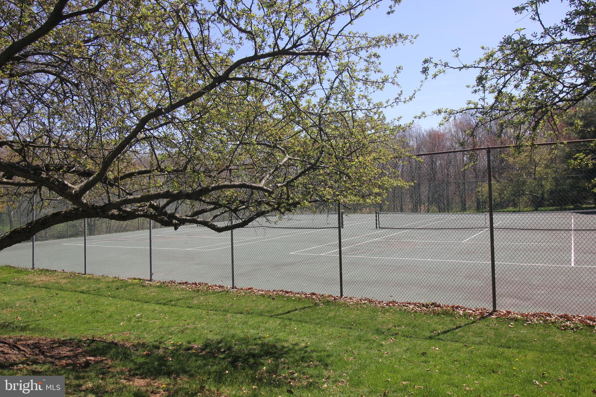 37 F Melrose Road Princeton, NJ 08540 - Photo 32 of 37 Tennis Court