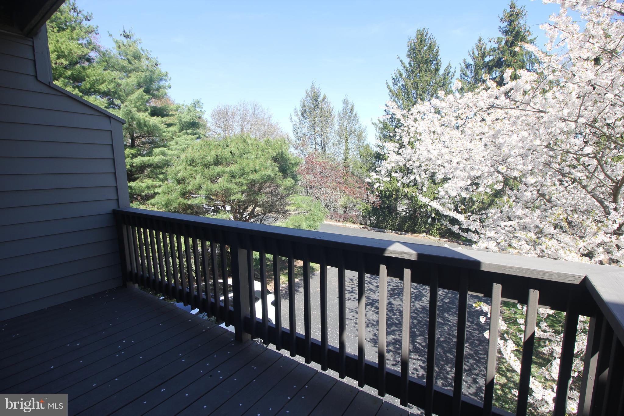 37 F Melrose Road Princeton, NJ 08540 - Photo 6 of 37 Living Room Balcony