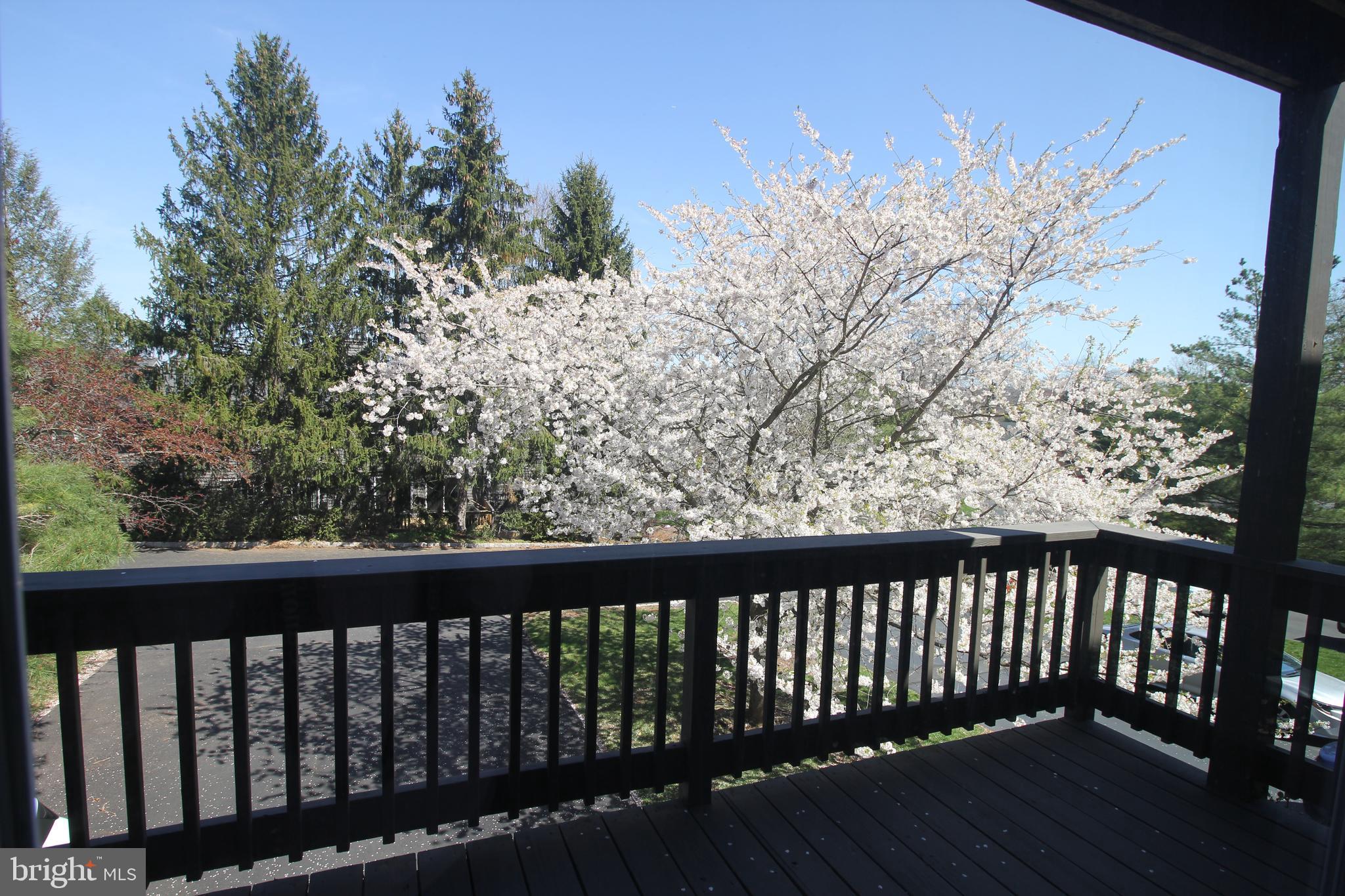 37 F Melrose Road Princeton, NJ 08540 - Photo 7 of 37 Living Room Balcony