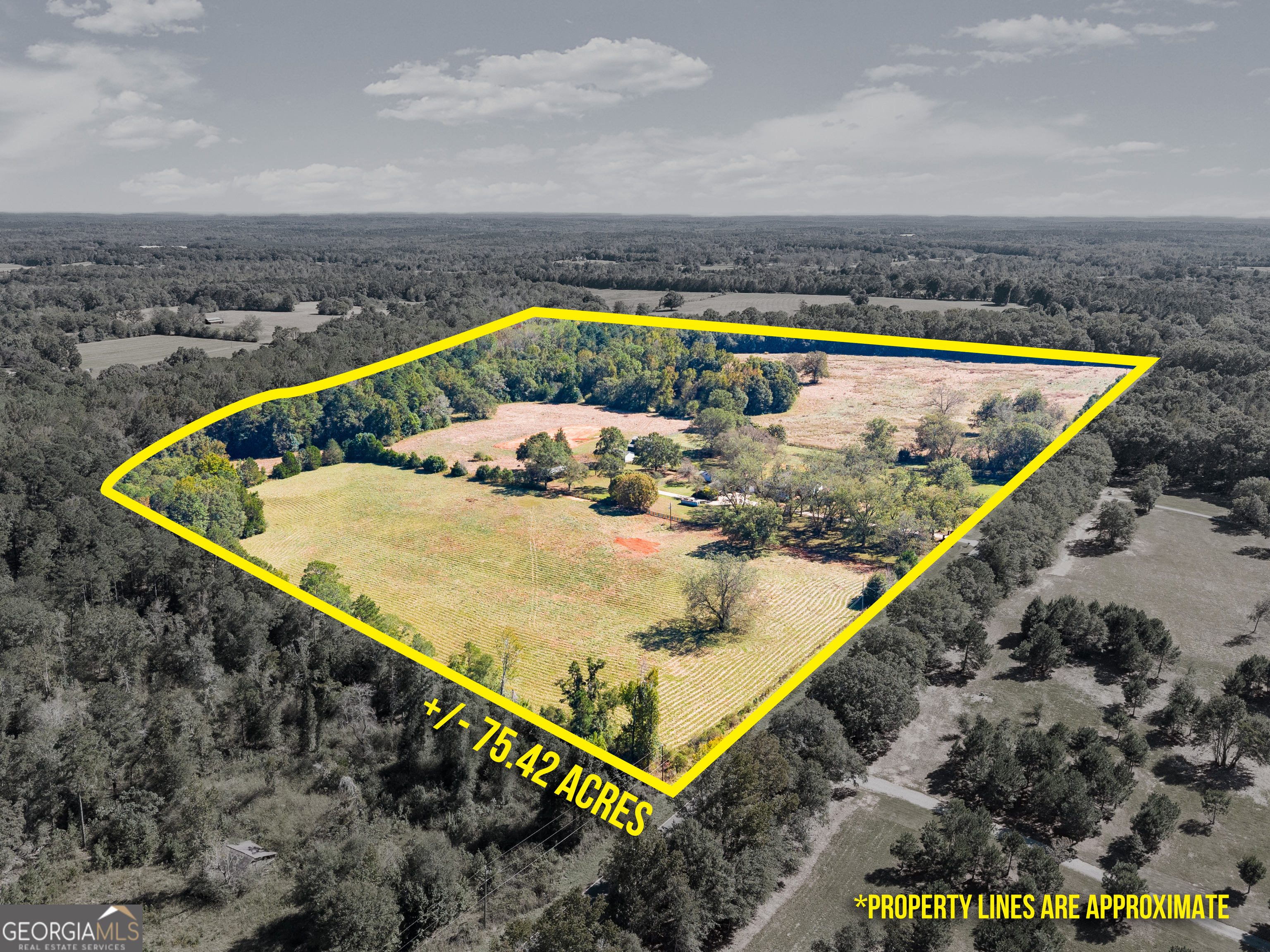 1972 Rest Haven Road Yatesville, GA 31097 - Photo 47 of 52 a view of a swimming pool with a terrace