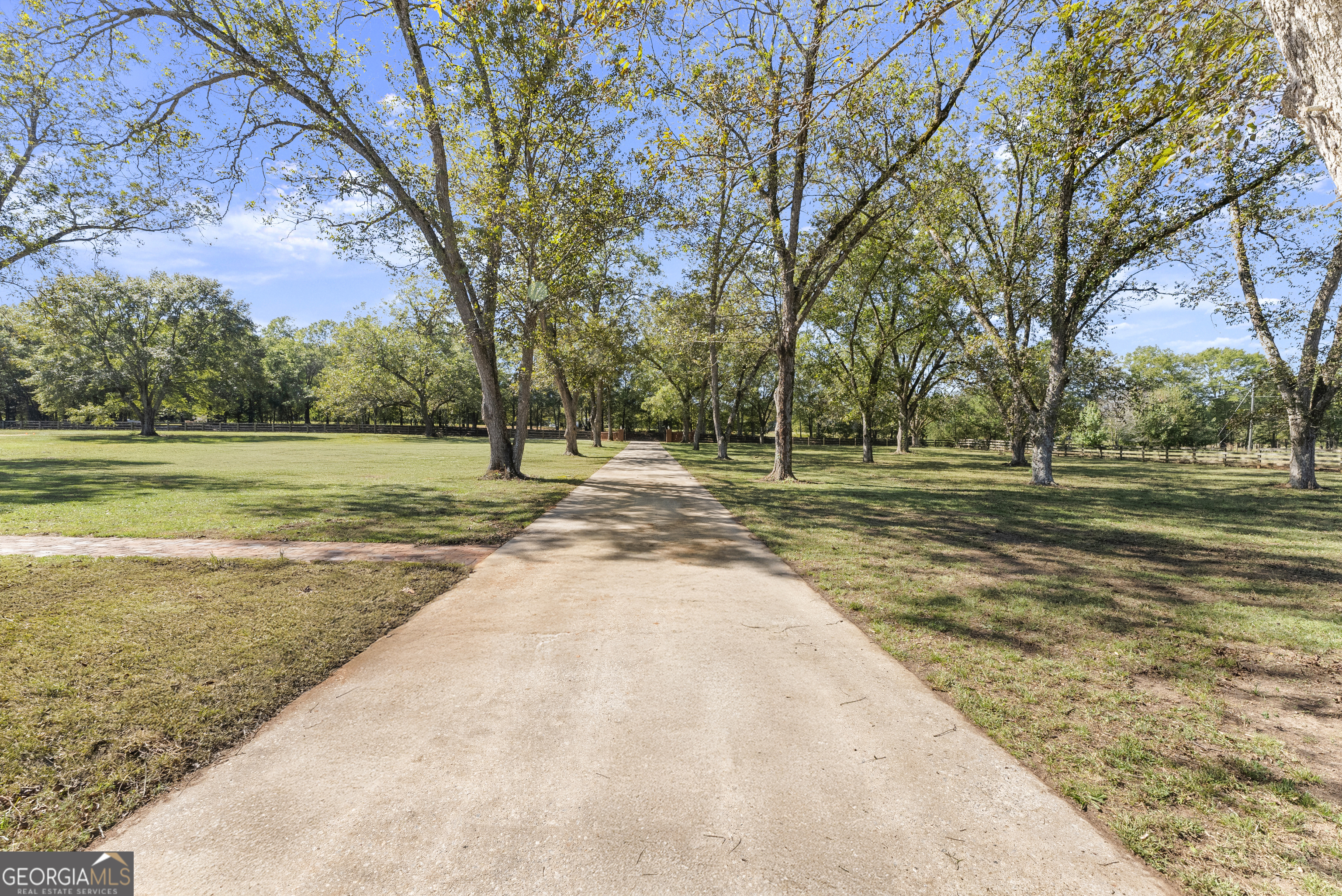 1972 Rest Haven Road Yatesville, GA 31097 - Photo 5 of 52 a view of outdoor space with trees