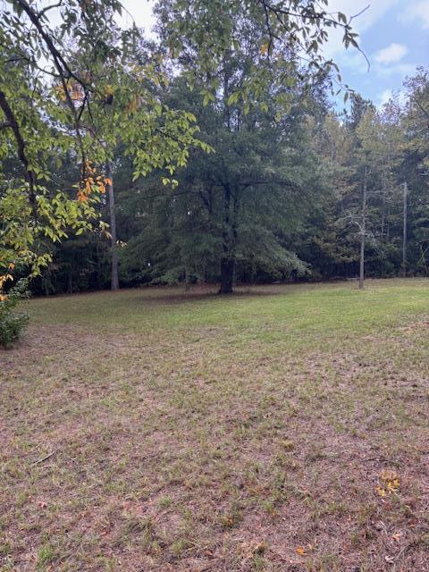 114 Highway 10 McCormick, SC 29835 - Photo 8 of 15