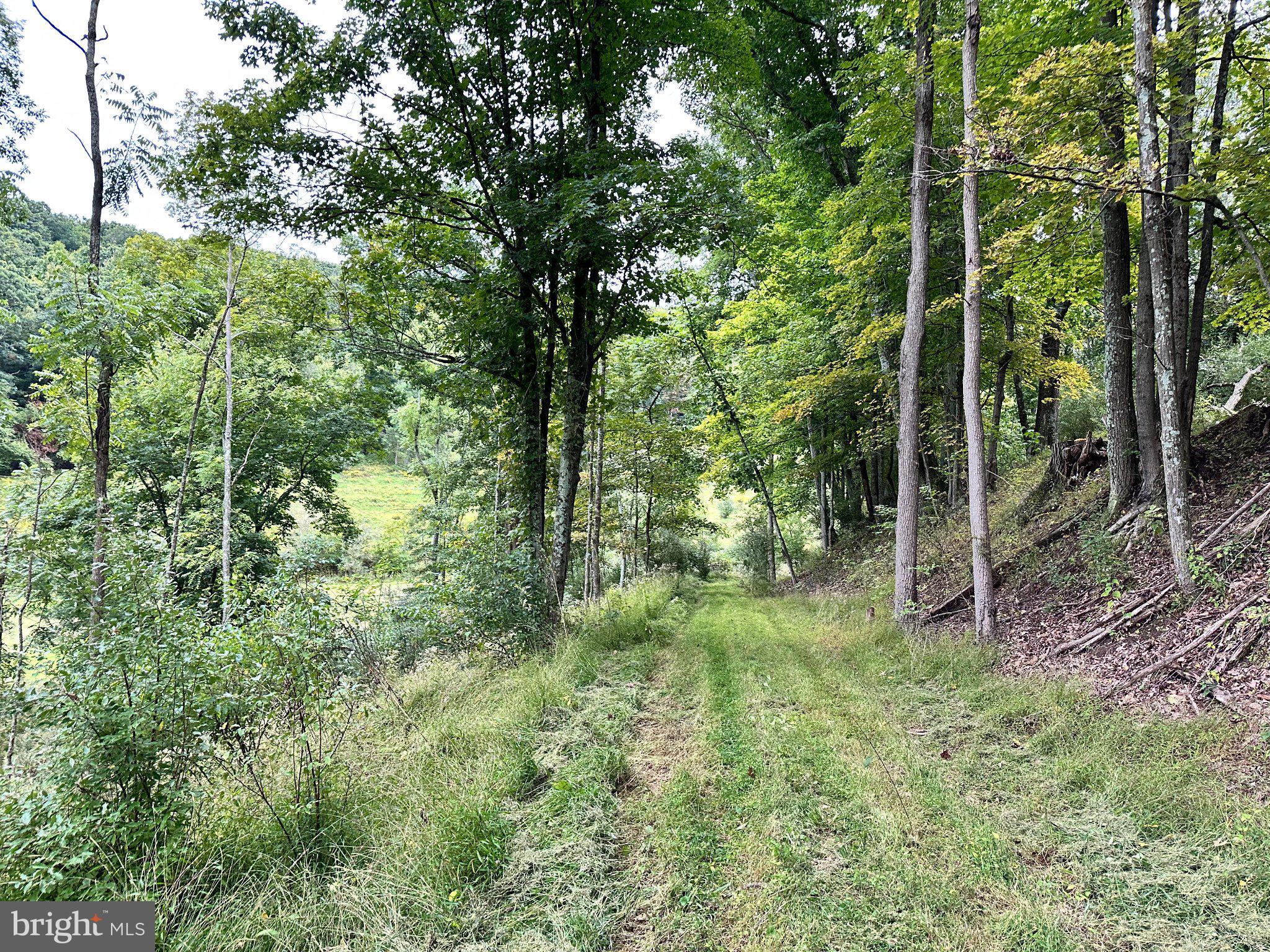 2052 Runville Road Bellefonte, PA 16823 - Photo 13 of 54 Gallery Image 13