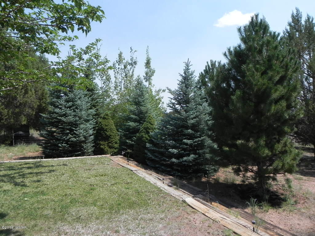 4469 Indian Bend Road Snowflake, AZ 85937 - Photo 15 of 23