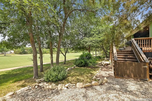 a view of a garden with plants and trees