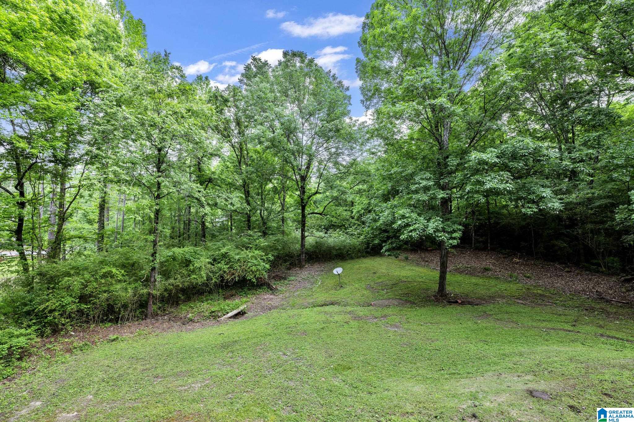 324 Valley Lane Warrior, AL 35180 - Photo 17 of 23