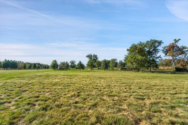 a view of a park with large trees