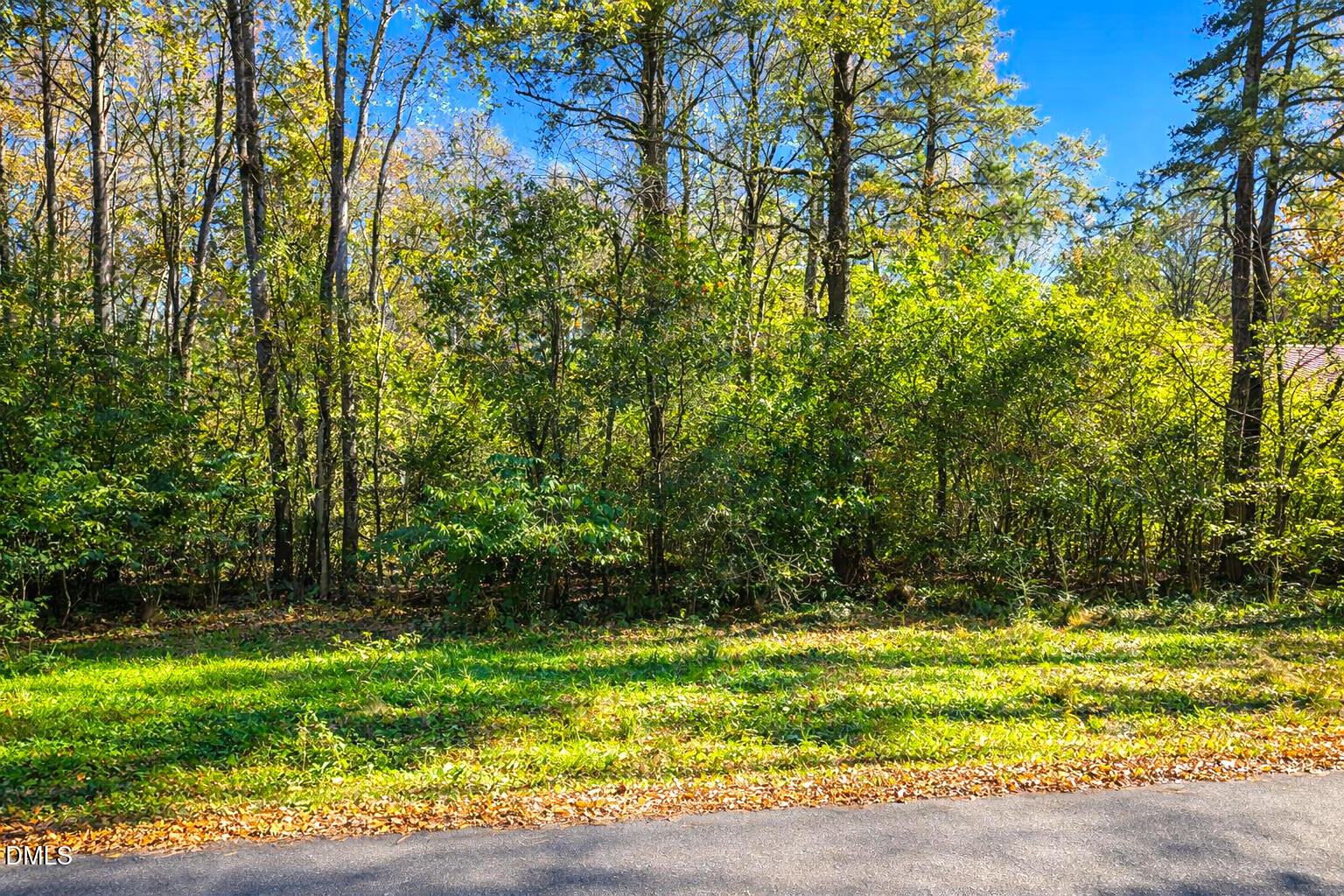 304 Peele Street Roxobel, NC 27872 - Photo 4 of 15 4
