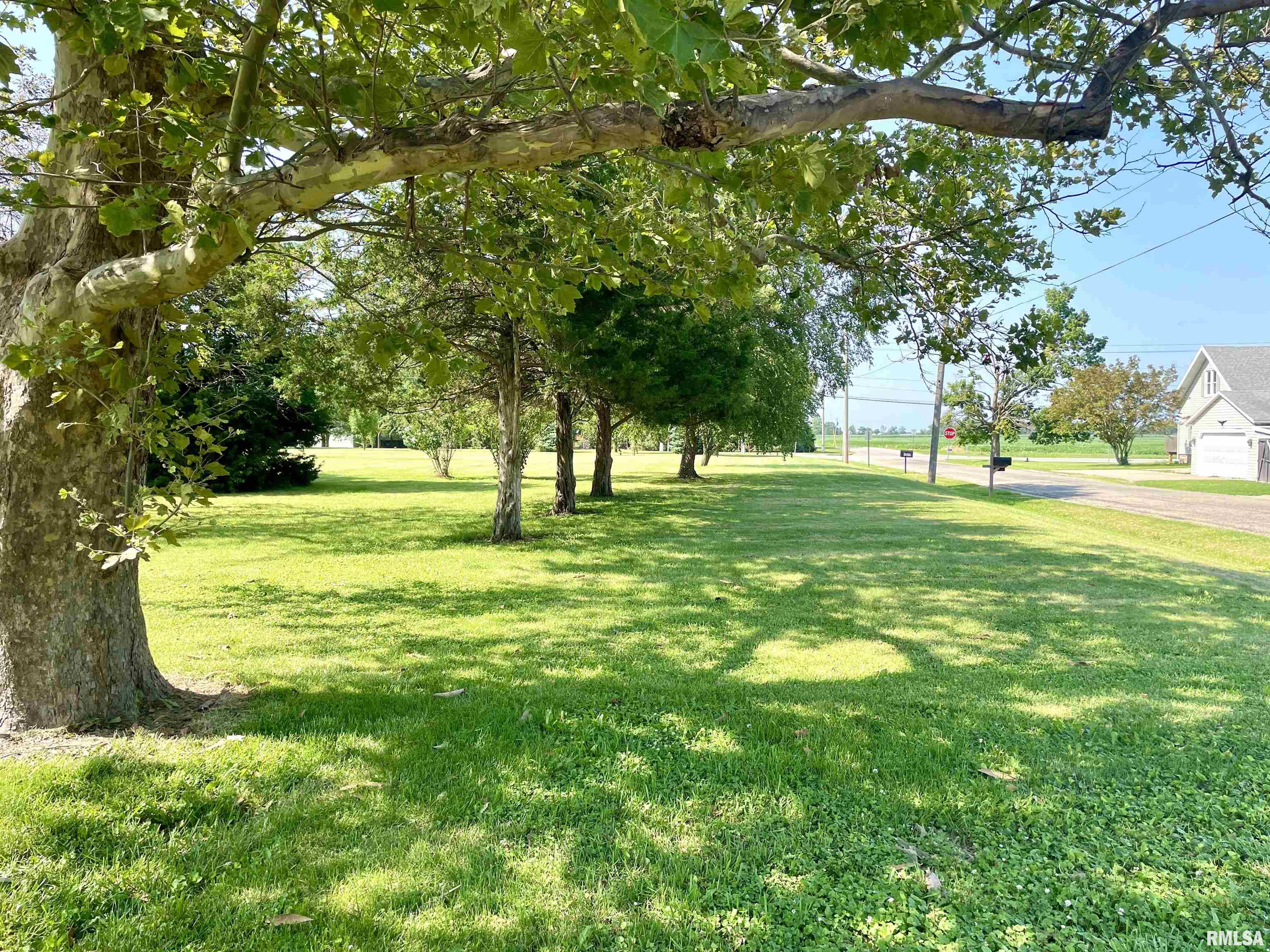 115 North Murphy Road Hanna City, IL 61536 - Photo 60 of 69 Gallery Image 60