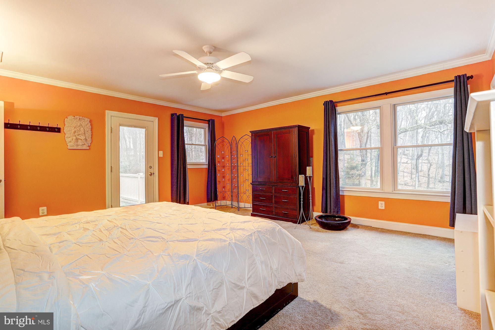 12207 Fingerboard Road Monrovia, MD 21770 - Photo 18 of 46 Primary Bedroom