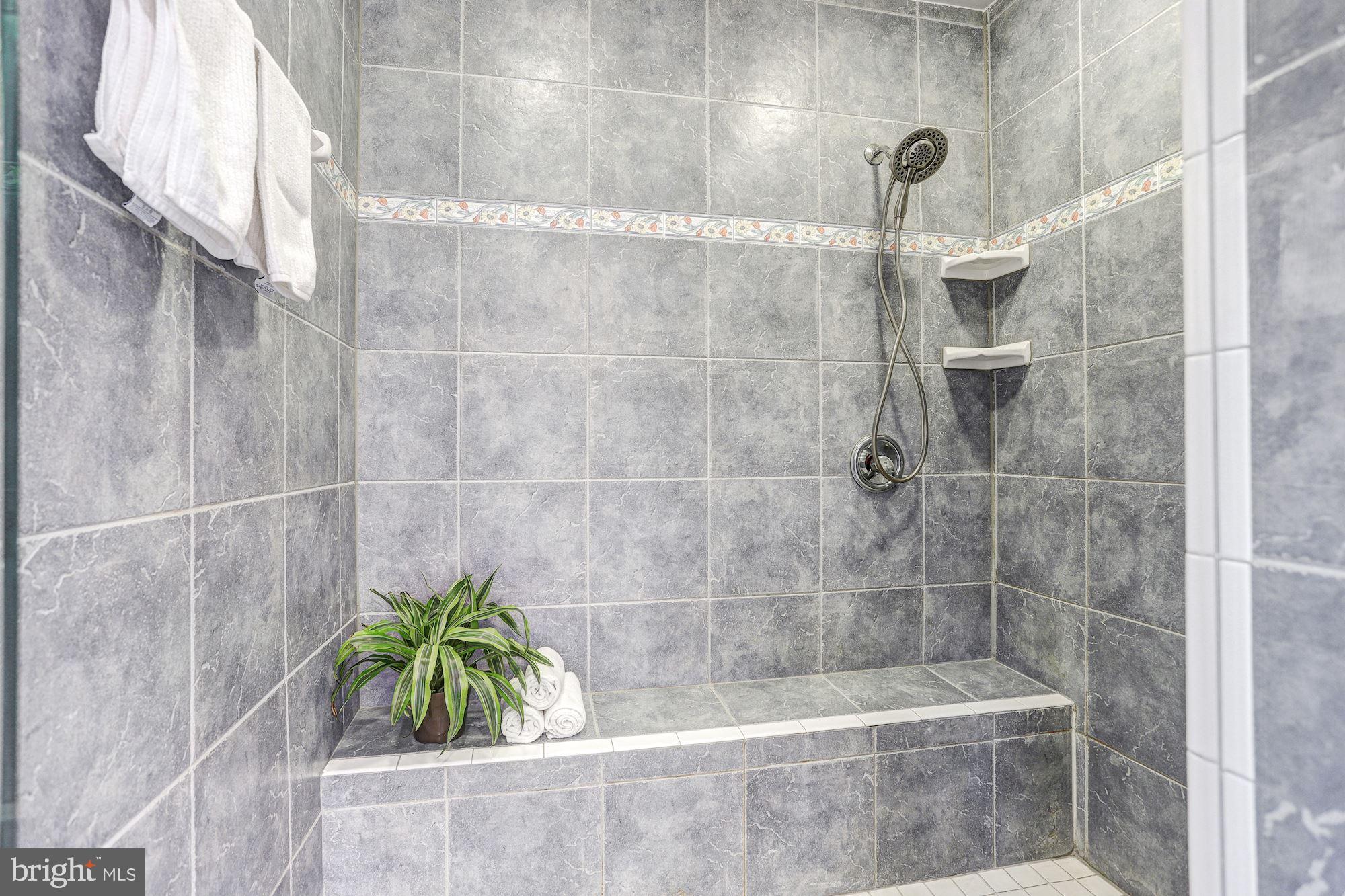 12207 Fingerboard Road Monrovia, MD 21770 - Photo 20 of 46 Primary Full Bath