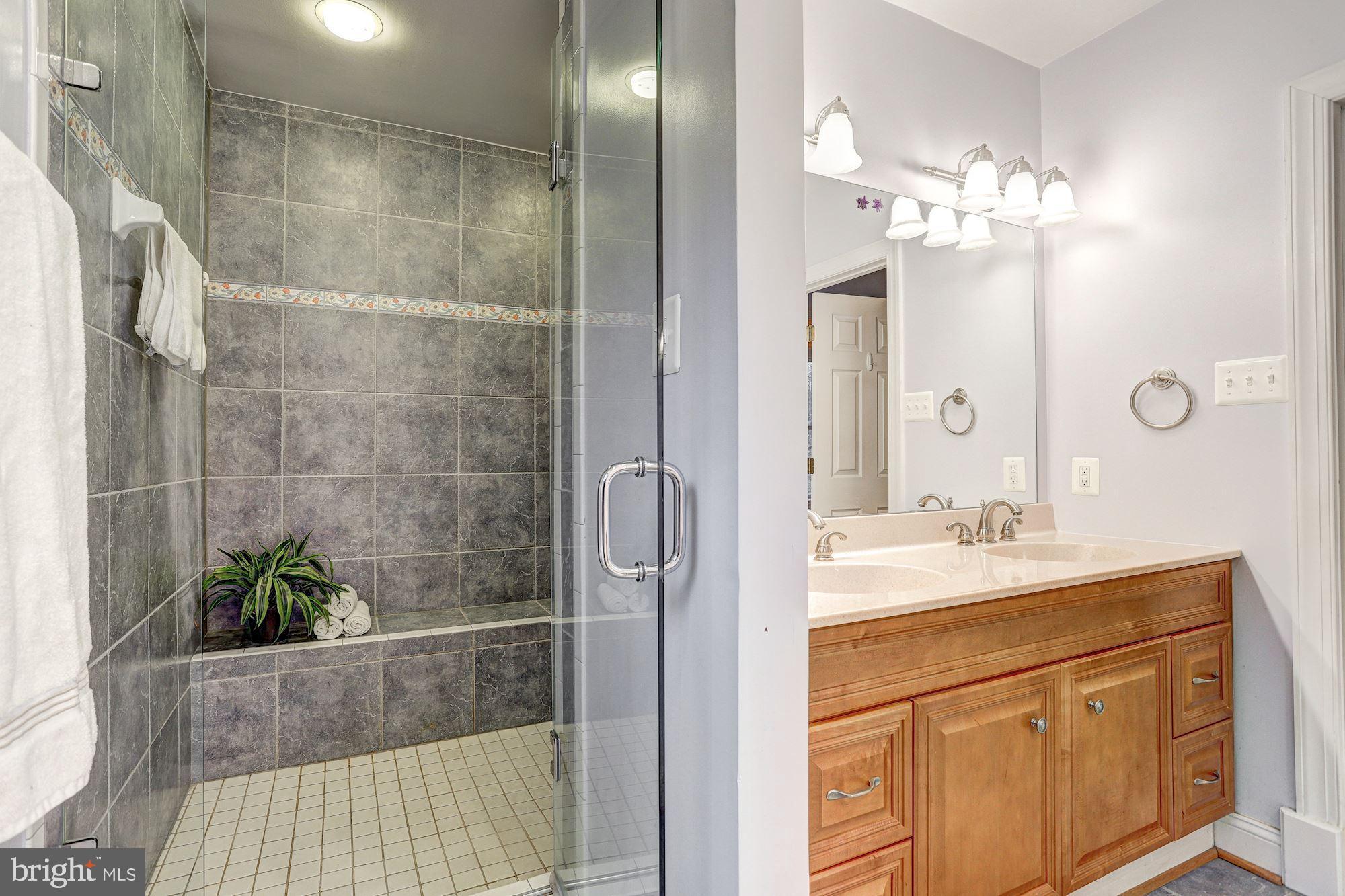12207 Fingerboard Road Monrovia, MD 21770 - Photo 21 of 46 Primary Full Bath