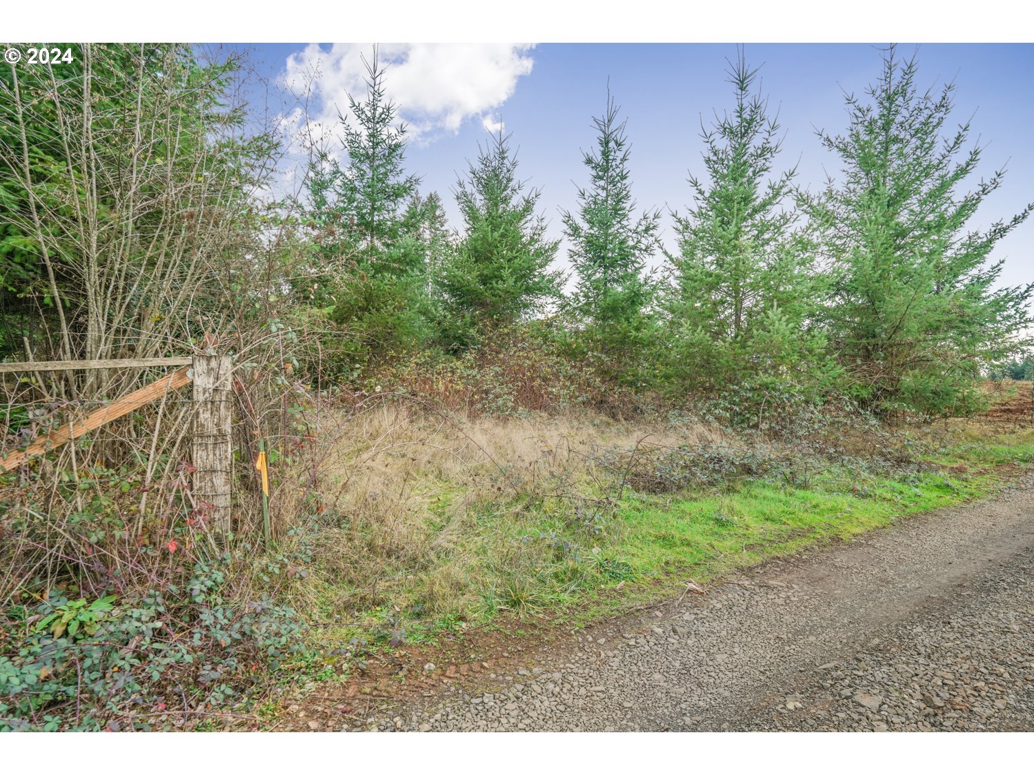 33166 Southeast Kelso Road Boring, OR 97009 - Photo 19 of 20 a view of a yard