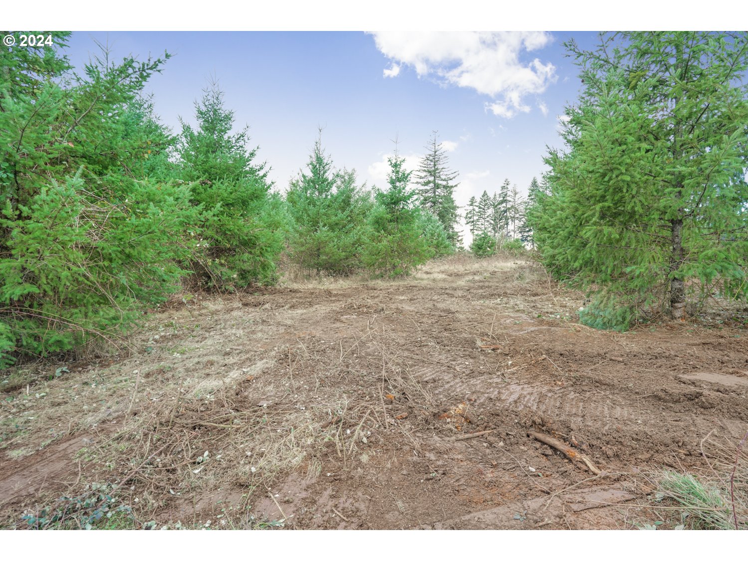 33166 Southeast Kelso Road Boring, OR 97009 - Photo 6 of 20 a view of a yard with an tree