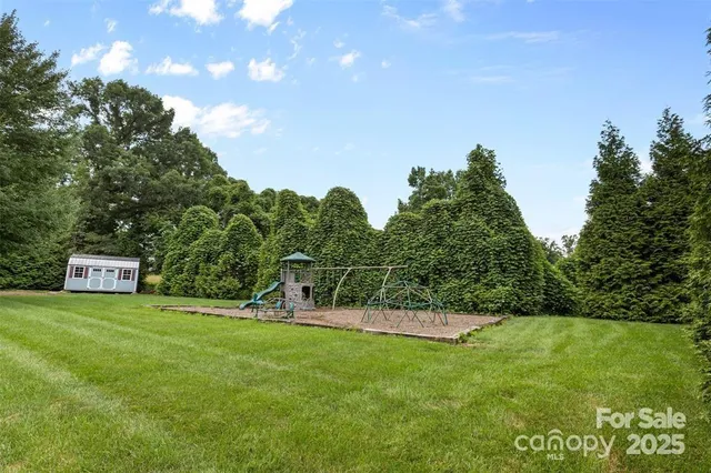 a view of a garden with plants