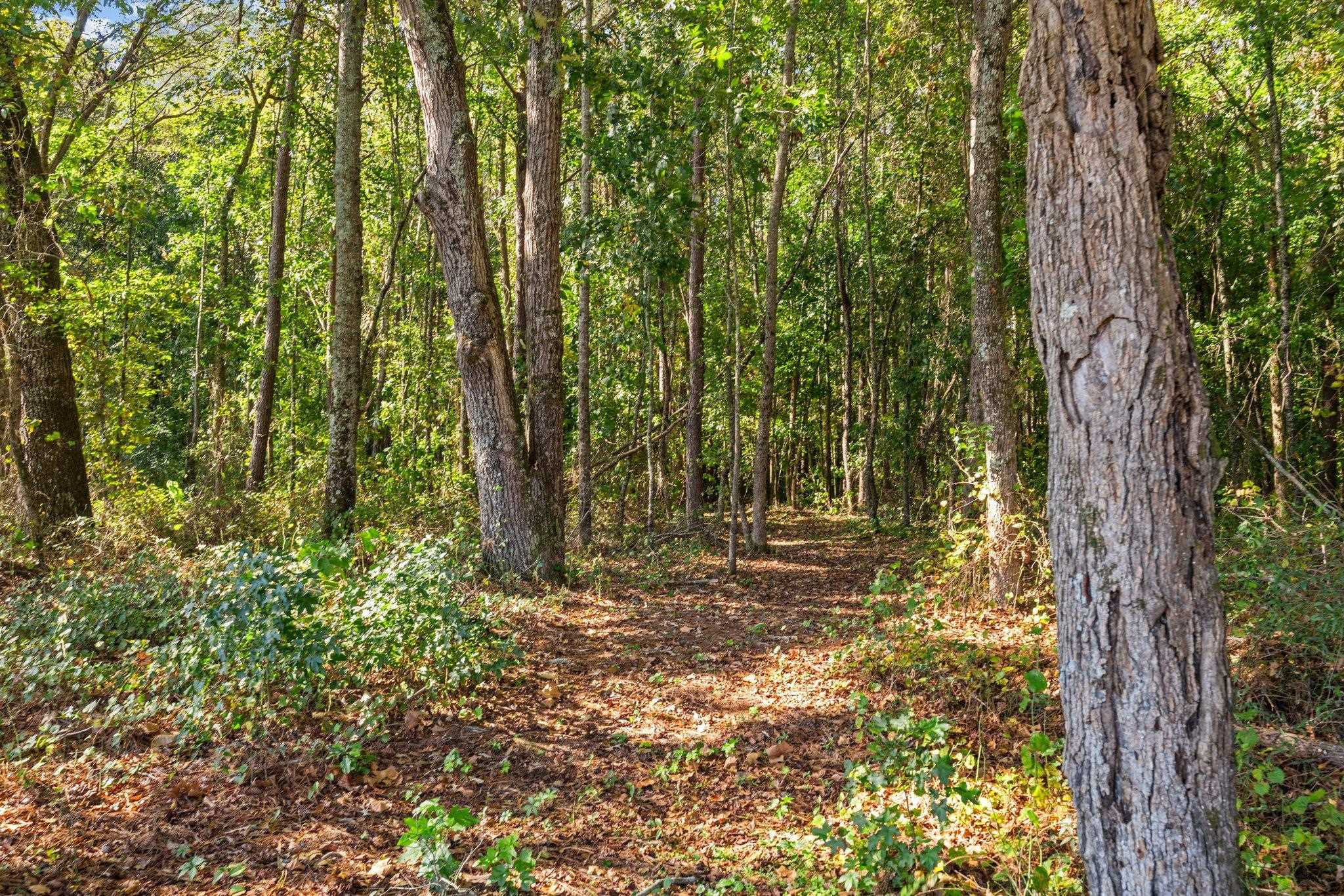 991 Sheriff Johnson Road Lillington, NC 27546 - Photo 50 of 52 Photo 50
