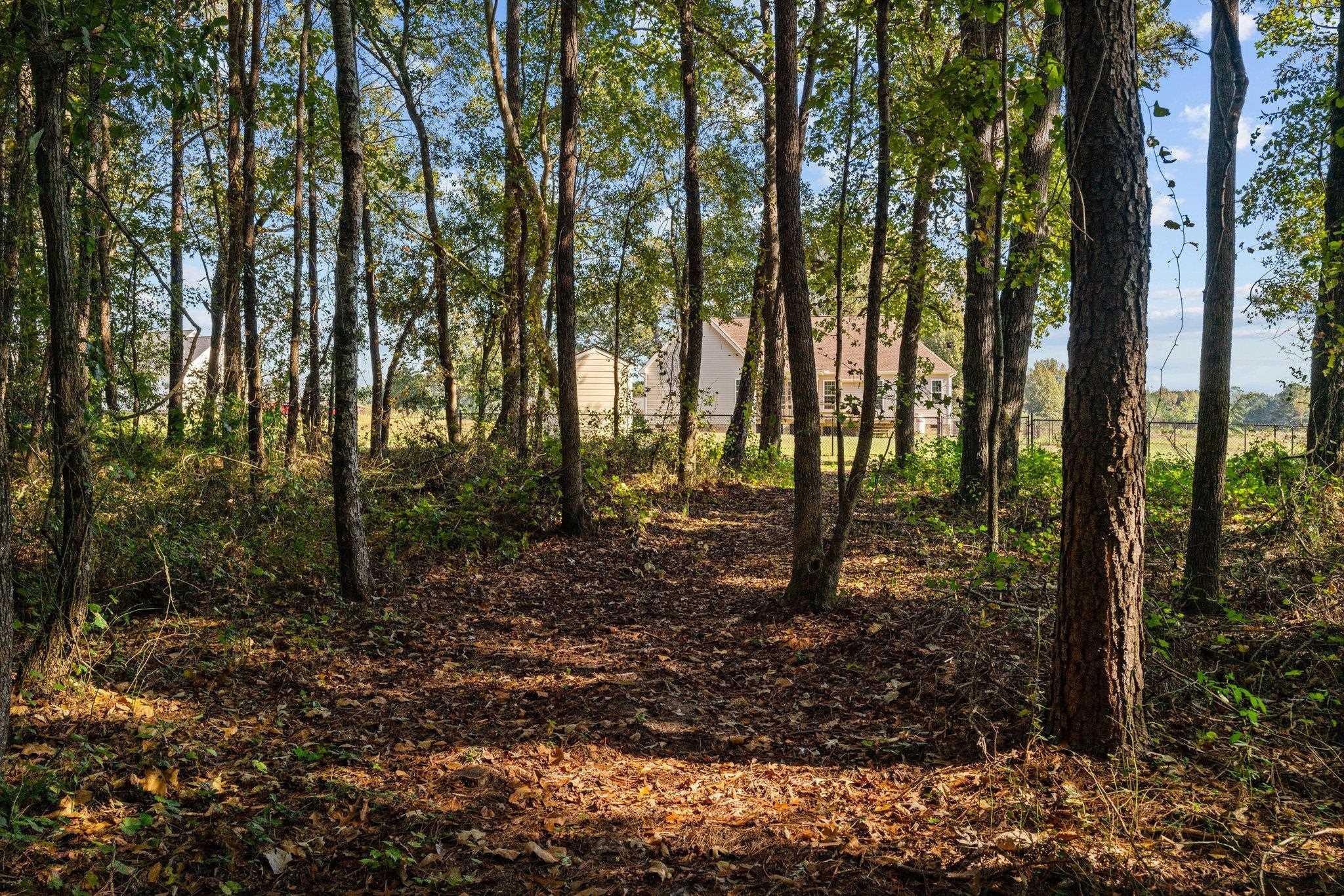 991 Sheriff Johnson Road Lillington, NC 27546 - Photo 51 of 52 a view of forest