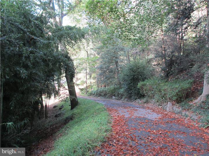 313 Laurel Woods Road Landenberg, PA 19350 - Photo 20 of 25 Driveway