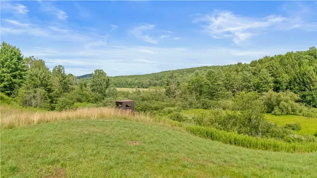 $449,000 | 941 County Highway, Charlotteville, NY 12036