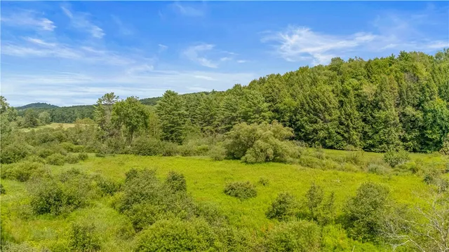 $449,000 | 941 County Highway, Charlotteville, NY 12036