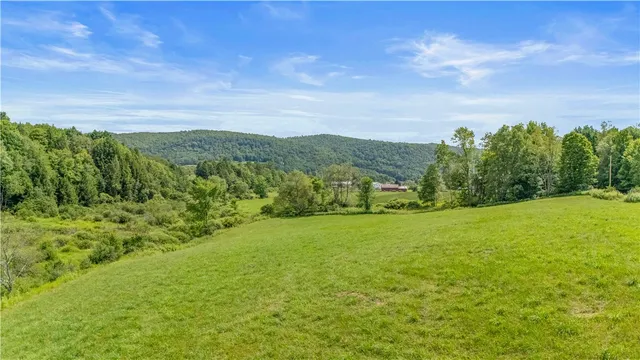 $449,000 | 941 County Highway, Charlotteville, NY 12036