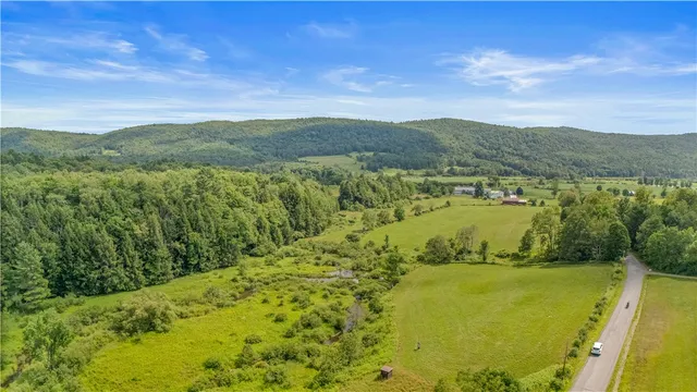 $449,000 | 941 County Highway, Charlotteville, NY 12036