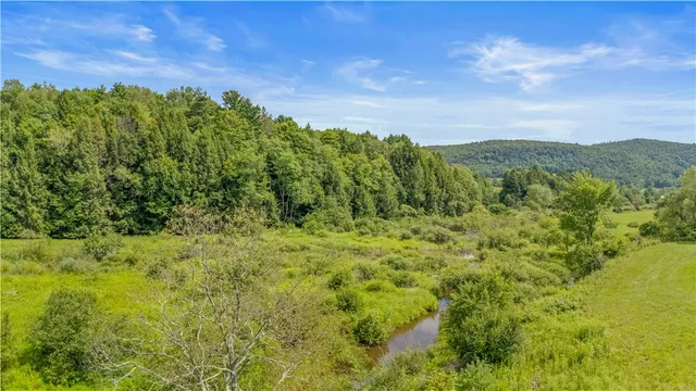 $449,000 | 941 County Highway, Charlotteville, NY 12036