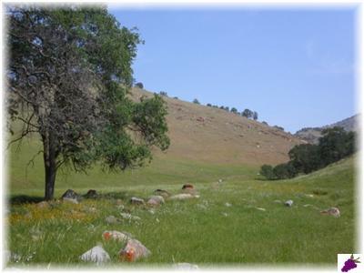 27500 East Trimmer Springs Road Sanger, CA 93657 - Photo 2 of 6 Gallery Image 2