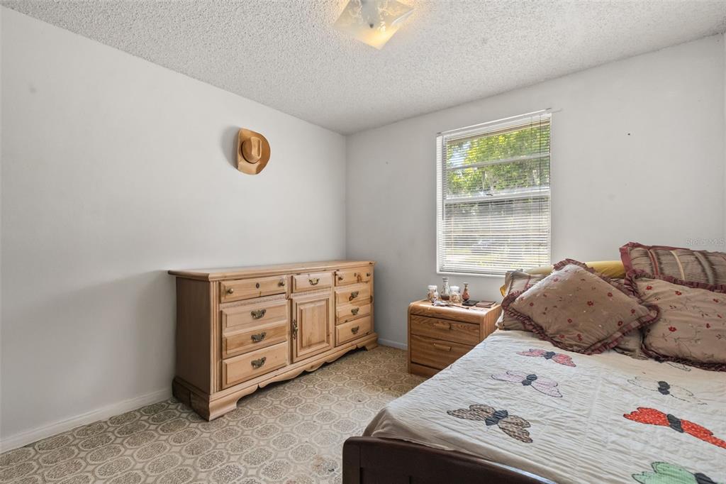 12631 Hobson Simmons Road Lithia, FL 33547 - Photo 8 of 18