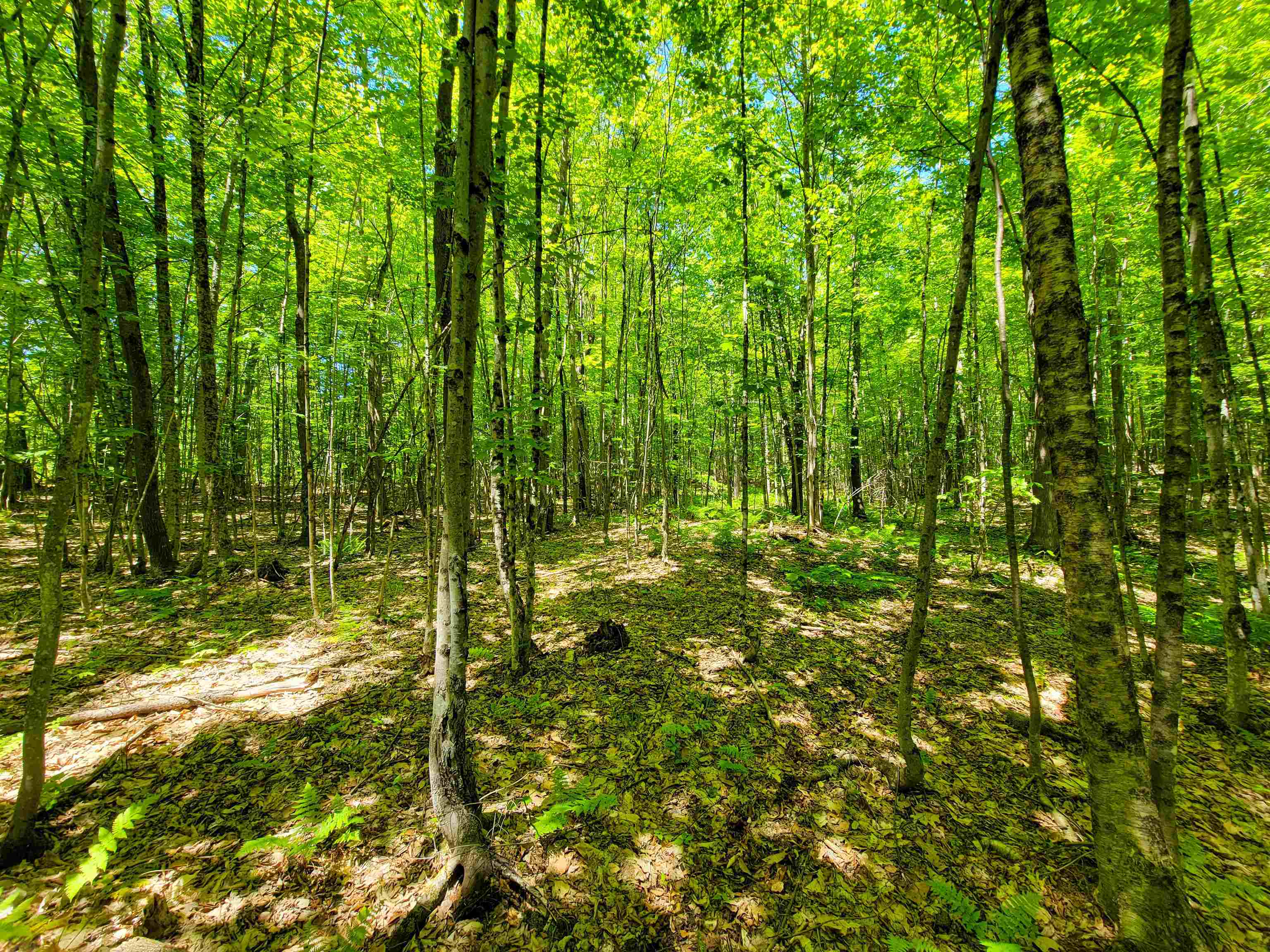 310 Sky Farm Lane Barnet, VT 05821 - Photo 42 of 59
