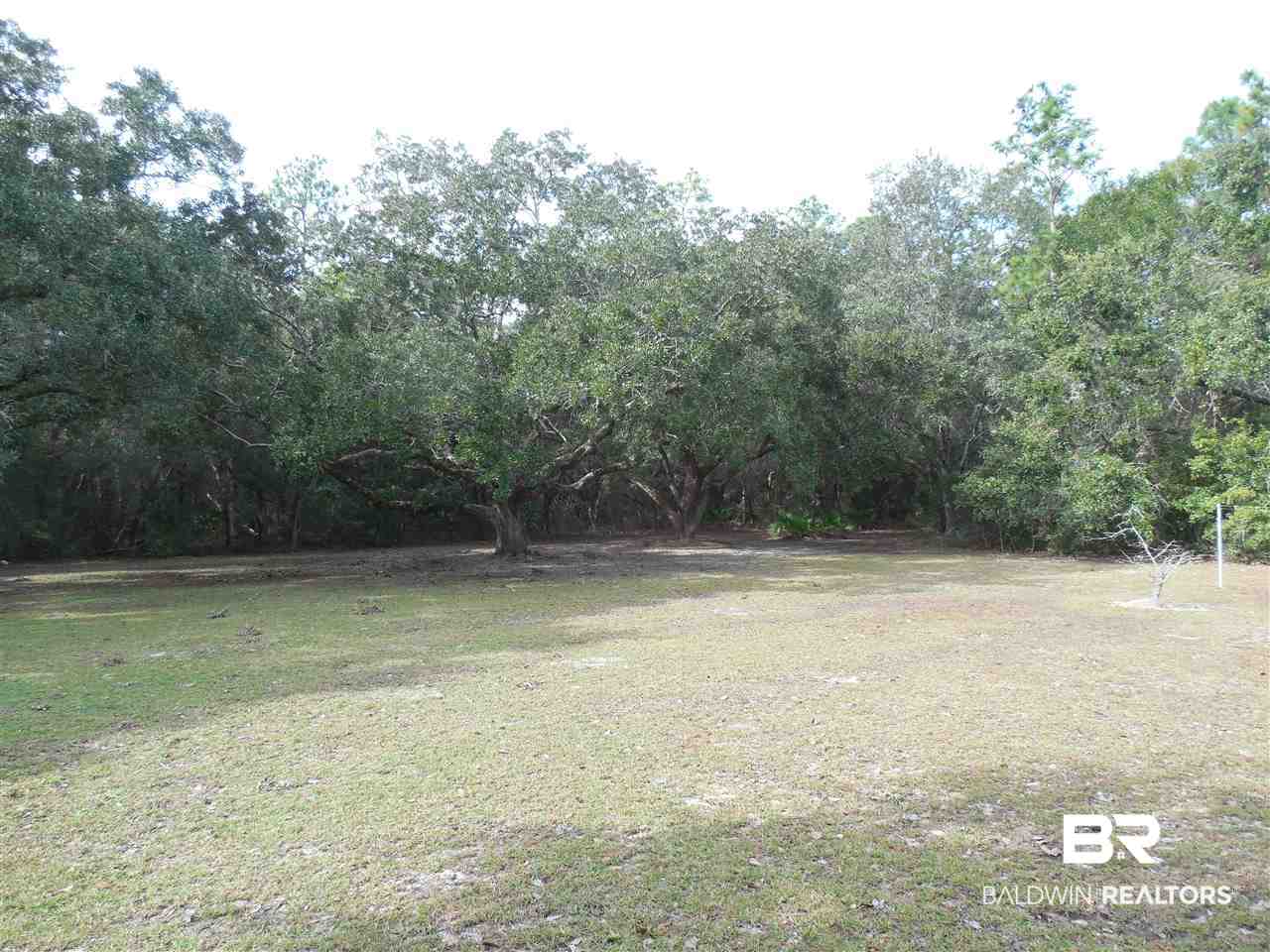 4100 Lauder Lane Orange Beach, AL 36561 - Photo 3 of 20 Large lot