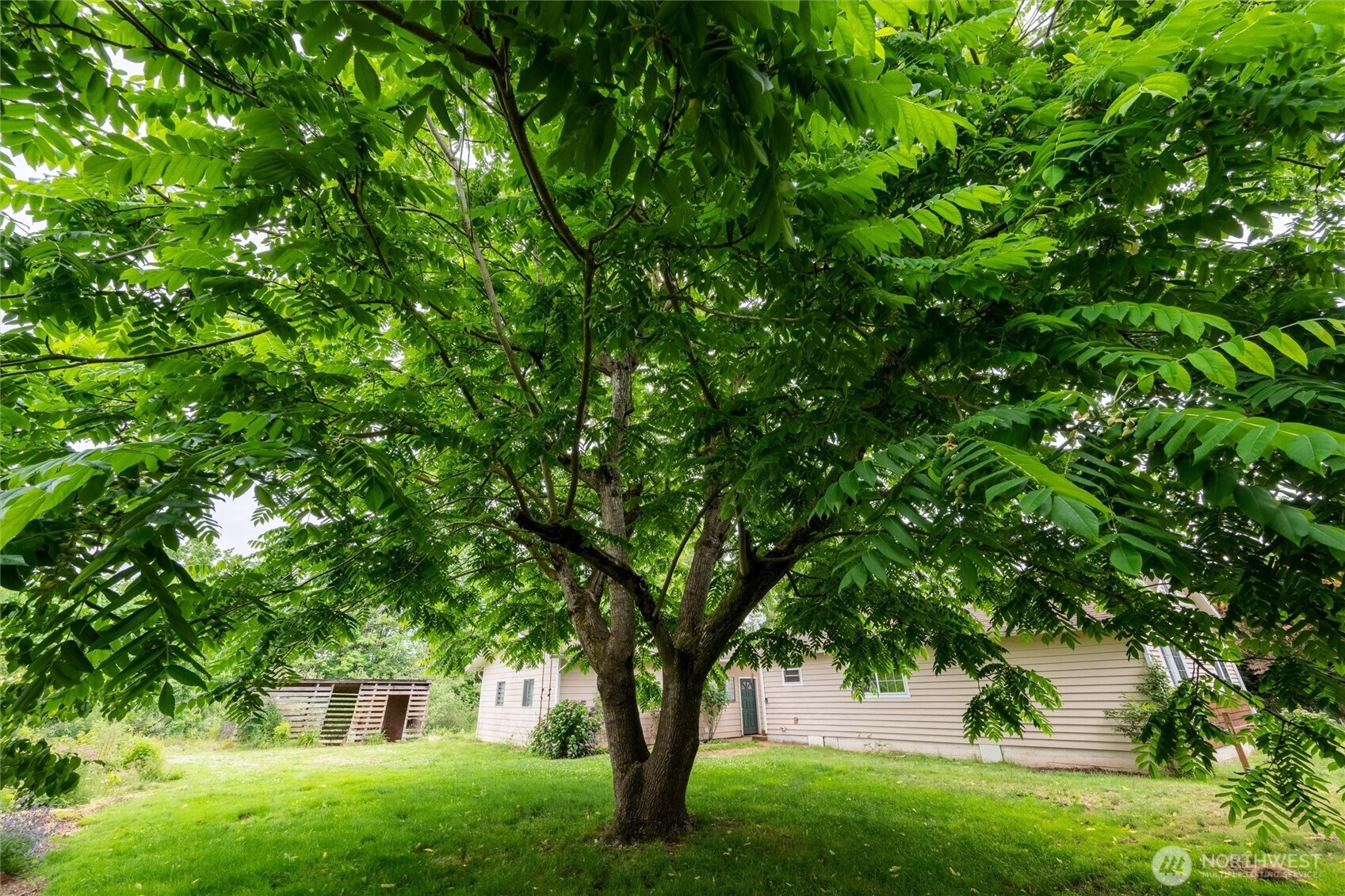 1264 Birch Bay Lynden Road Lynden, WA 98264 - Photo 26 of 38 a view of a tree in a garden