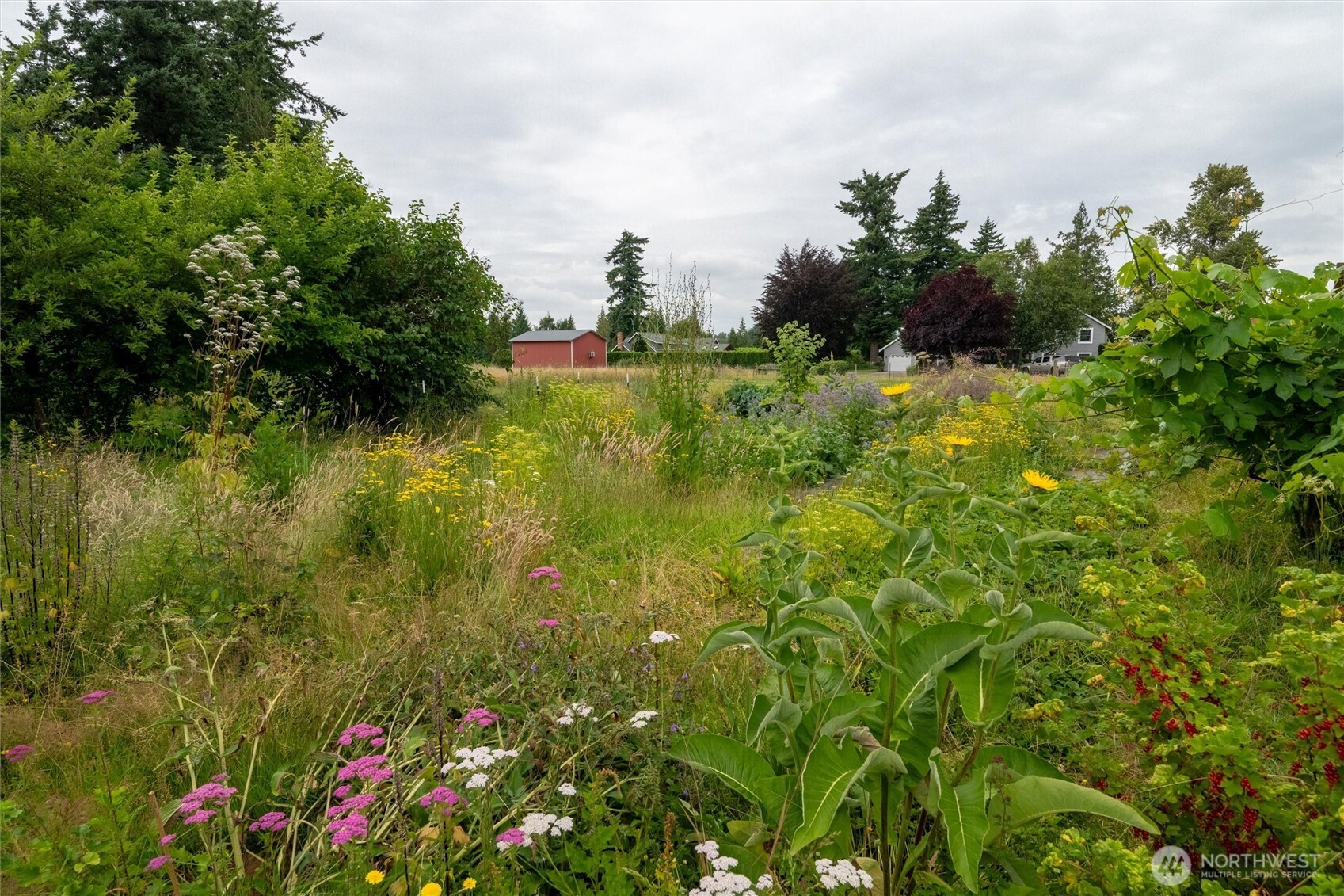 1264 Birch Bay Lynden Road Lynden, WA 98264 - Photo 31 of 38 a view of a garden