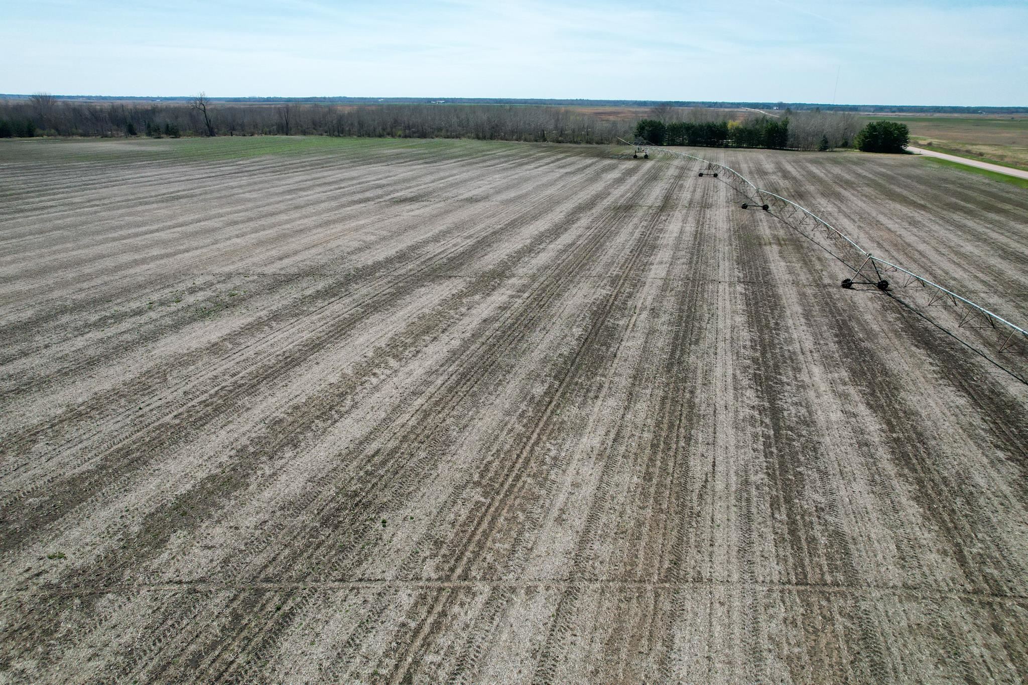 0 Cty Rd W Bancroft, WI 54921 - Photo 13 of 46